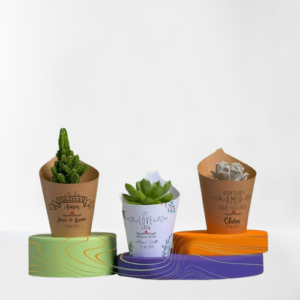Plantinhas Suculentas Personalizadas - Sem Tag
