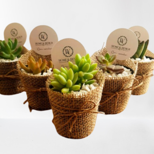 Plantinhas Suculentas Personalizadas em Vaso de Juta - Com Tag