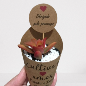 image-removebg-preview (6)