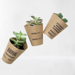 image-removebg-preview (9)