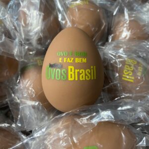 WhatsApp Image 2025-08-12 at 11.48.24 (3)