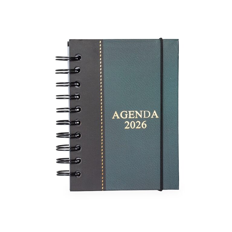 Brinde Agenda Diária 2026 Wire-O