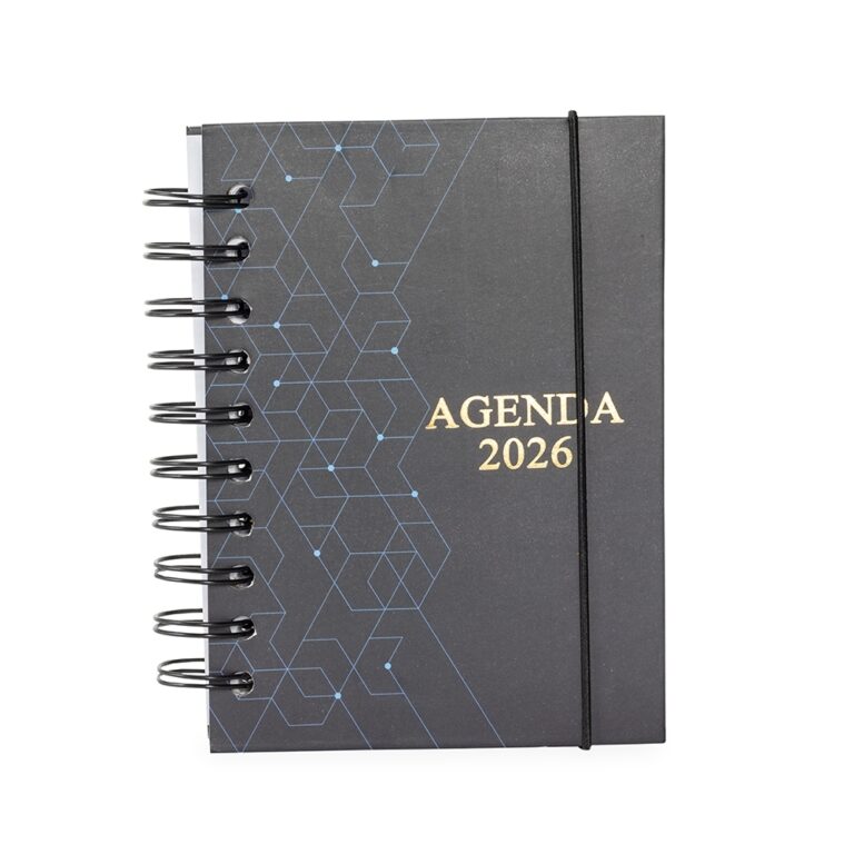 Brinde Agenda Diária 2026 Wire-O