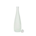 Brinde Garrafa de Vidro 550ml 2