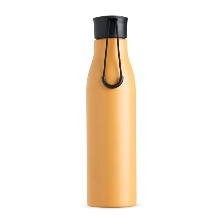 Brinde Garrafa Inox 800ml 2