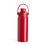 Brinde Garrafa Térmica 600ml 3