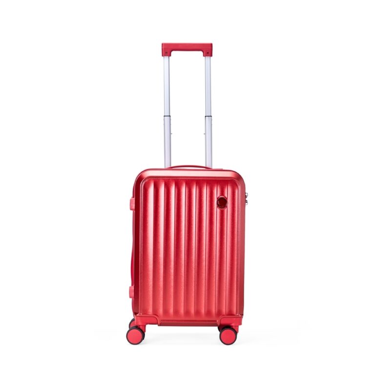 Brinde Mala de viagem 37L