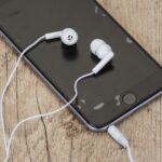 Fone de Ouvido Intra Auricular com Estojo. 2