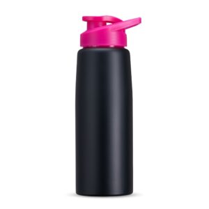 Brinde Squeeze Inox 880ml