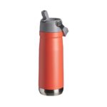 Brinde Garrafa Térmica 700ml 3