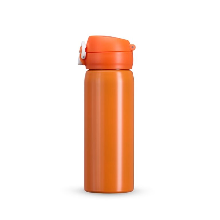 Brinde Garrafa Inox 500ml 2