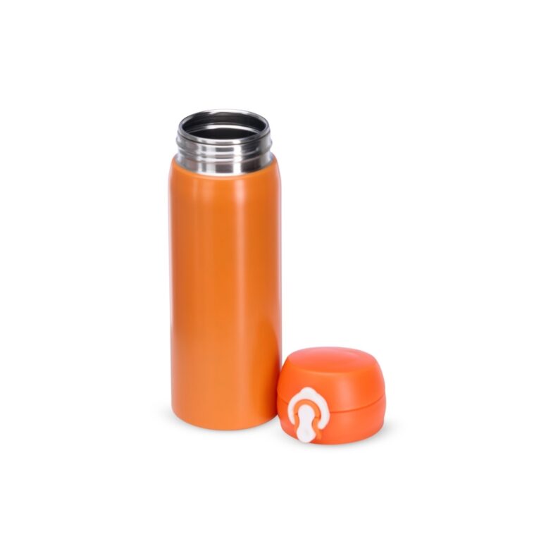 Brinde Garrafa Inox 500ml 4