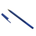 Caneta Plástica 2