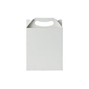 Brinde Embalagem Maleta P 1