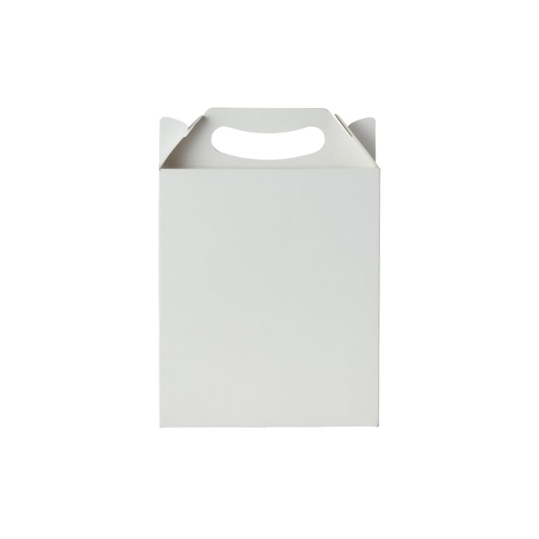 Brinde Embalagem Maleta P 1