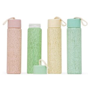 Brinde Garrafa de Vidro 330ml 1