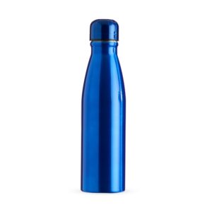 Brinde Garrafa alumínio 630ml