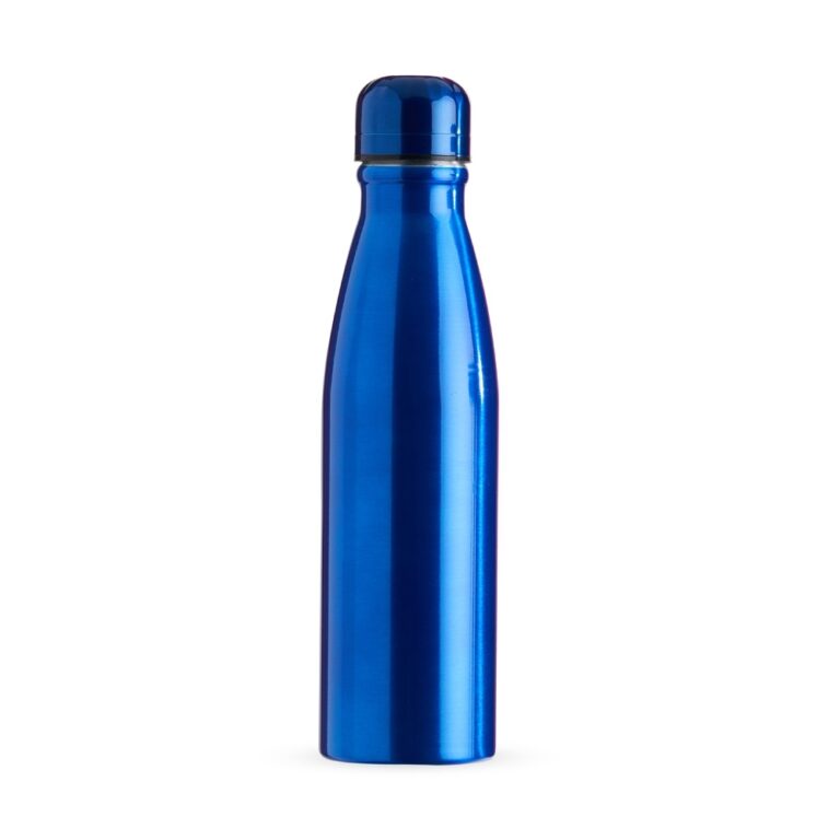 Brinde Garrafa alumínio 630ml