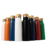 Brinde Garrafa Térmica 600ml 2